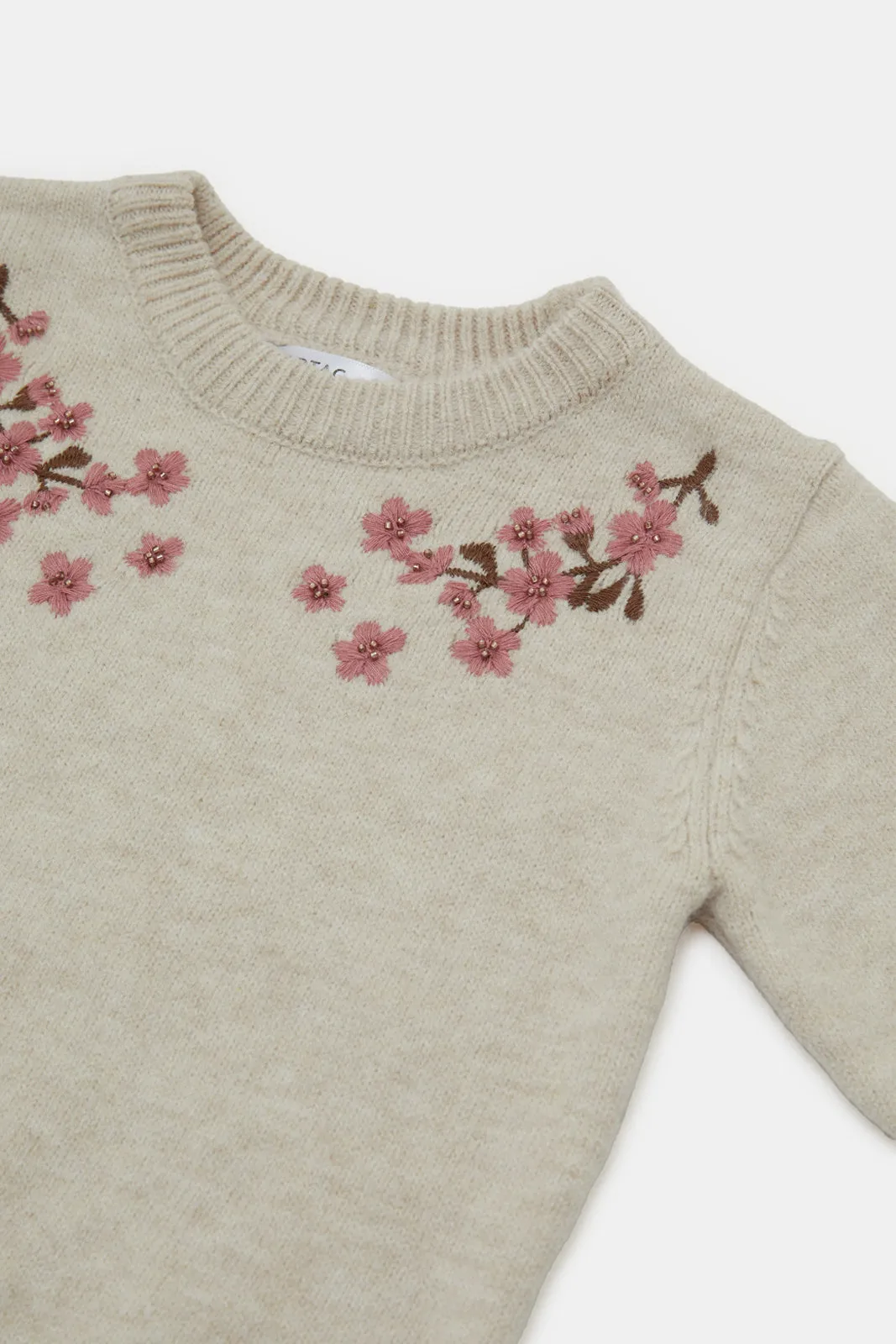 Infant Girls Beige Floral Neck Embroidery Pullover