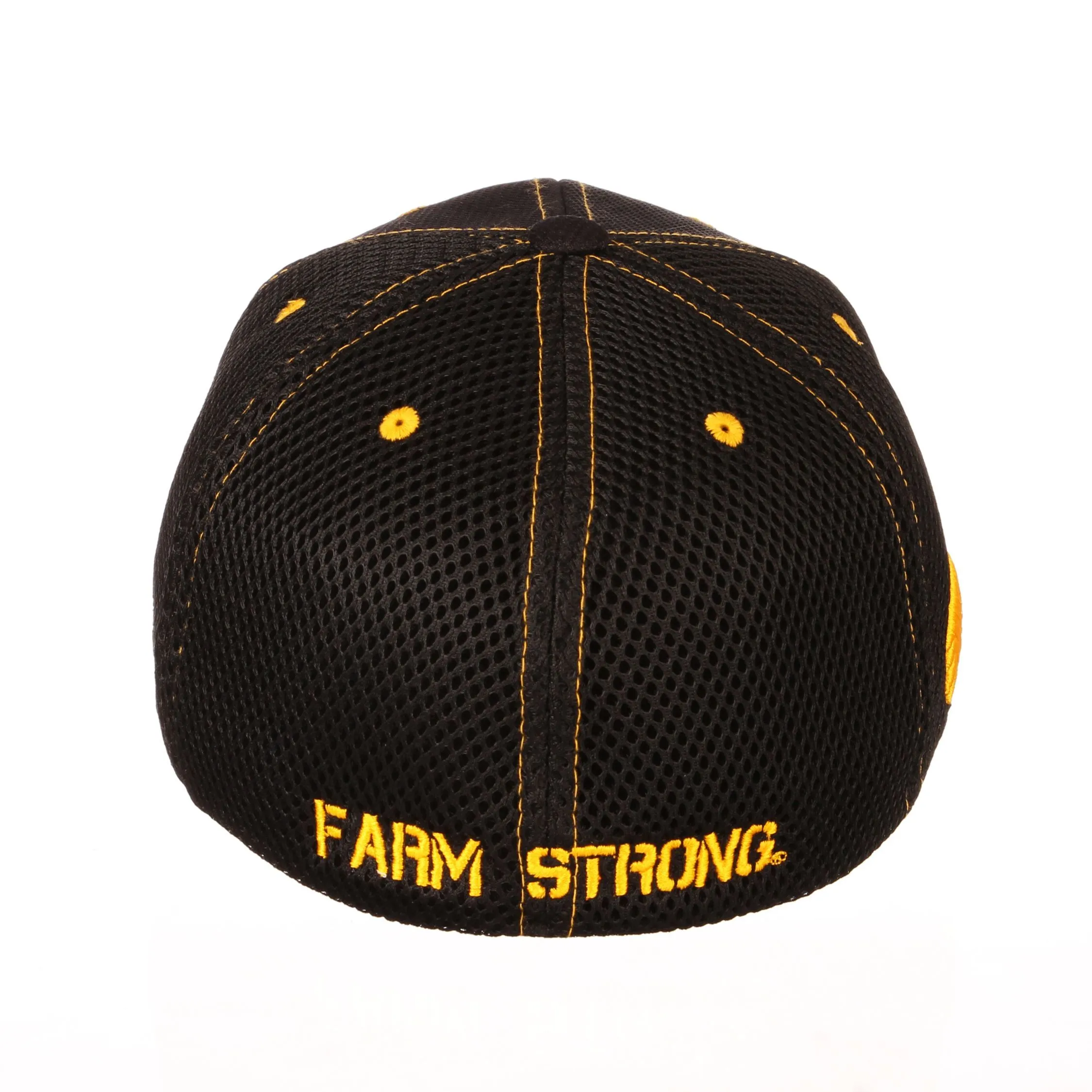 Iowa Hawkeyes Zephyr ANF America Needs Farmers Black Structured Fitted Hat Cap