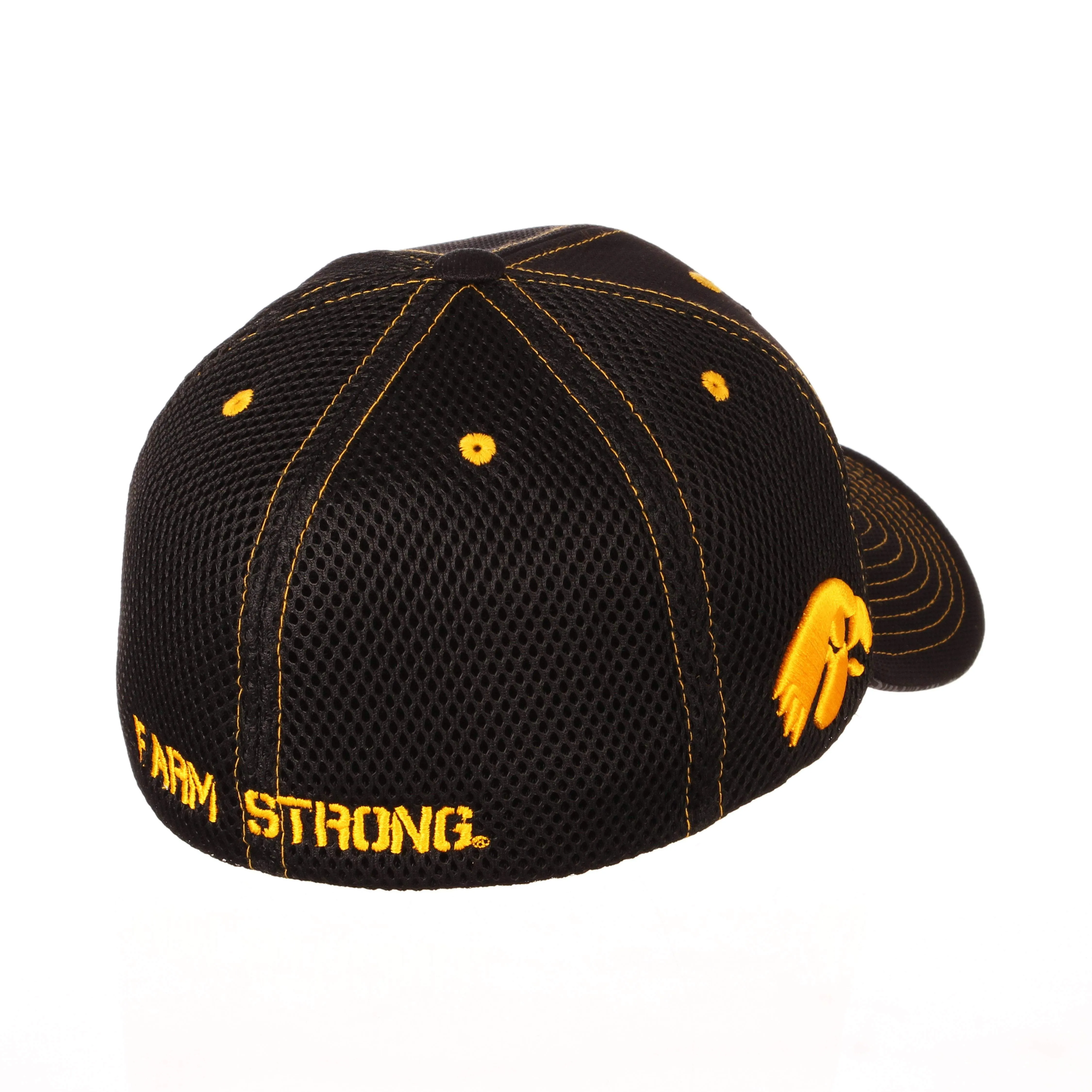 Iowa Hawkeyes Zephyr ANF America Needs Farmers Black Structured Fitted Hat Cap