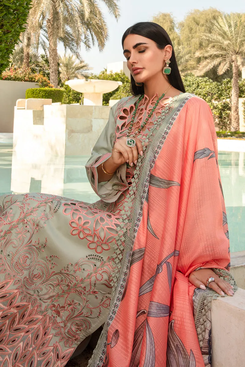 Rang Rasiya Carnation Luxury Lawn 2024 – Orchid