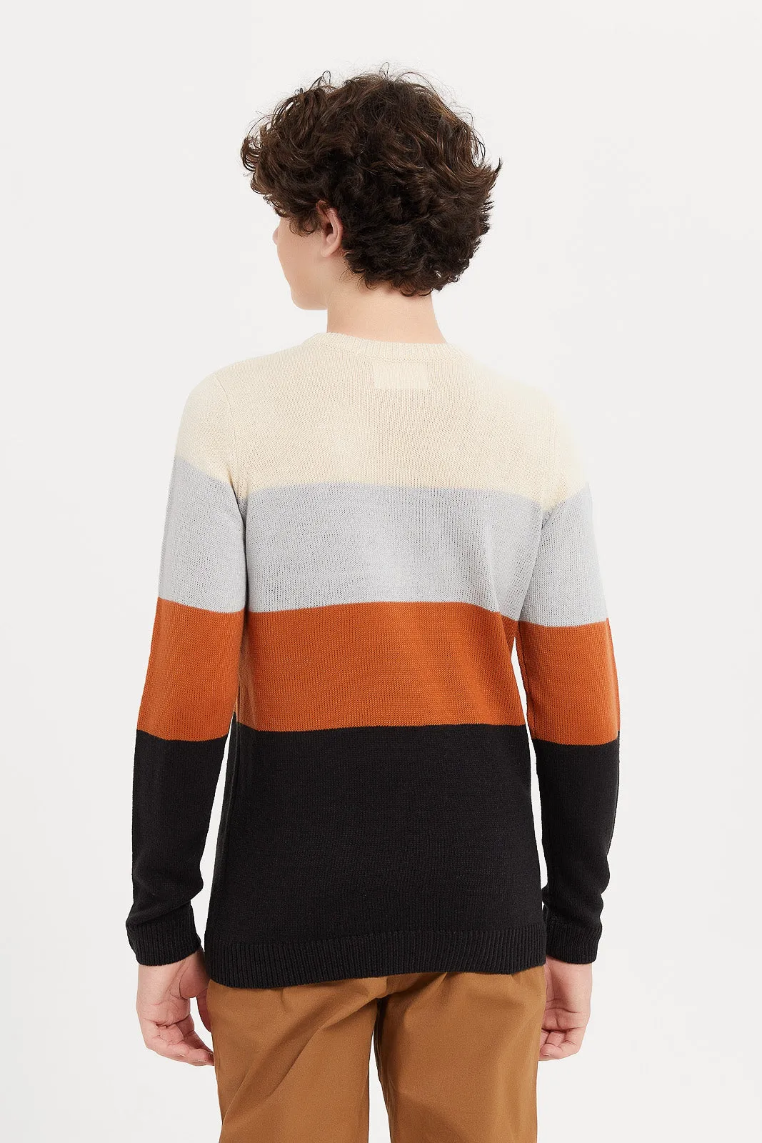 Senior Boys Multicolour Jacquard Pullover