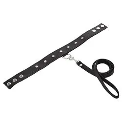 Sportsheets Leather Leash And Collar