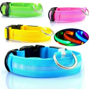 USB RECHARGEABLE LED PET DOG COLLAR