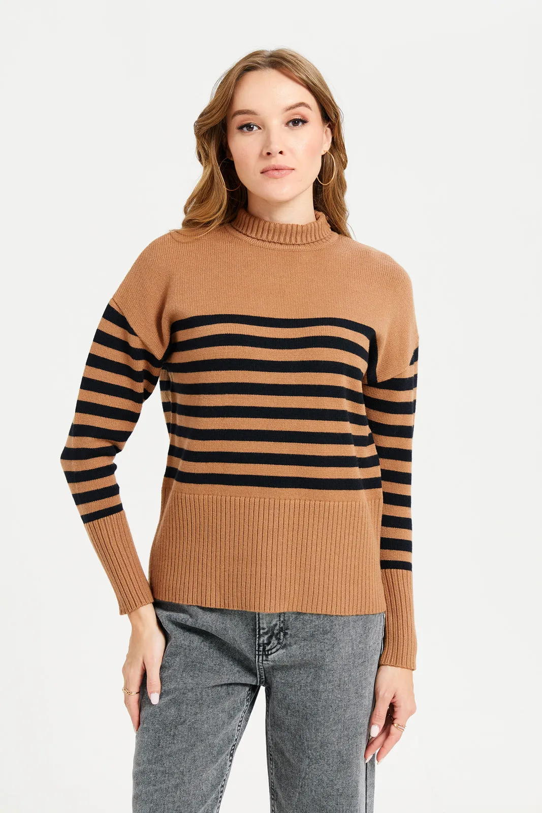 Women Brown And Black Striped High Neck Longline Pullover