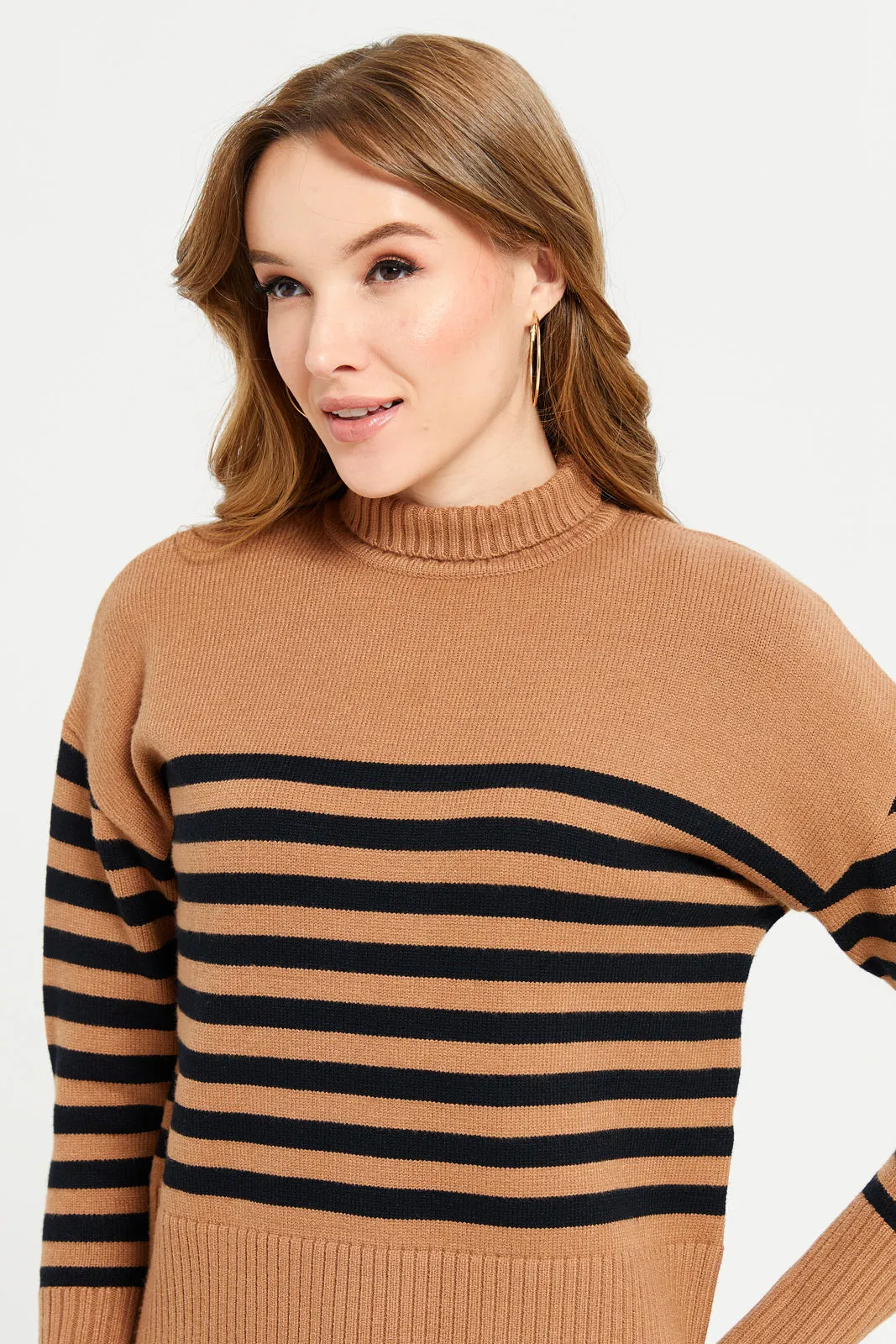 Women Brown And Black Striped High Neck Longline Pullover